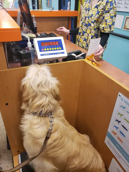 Banfield Pet Hospital 12