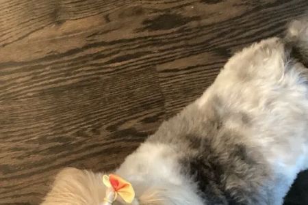 Banfield Pet Hospital