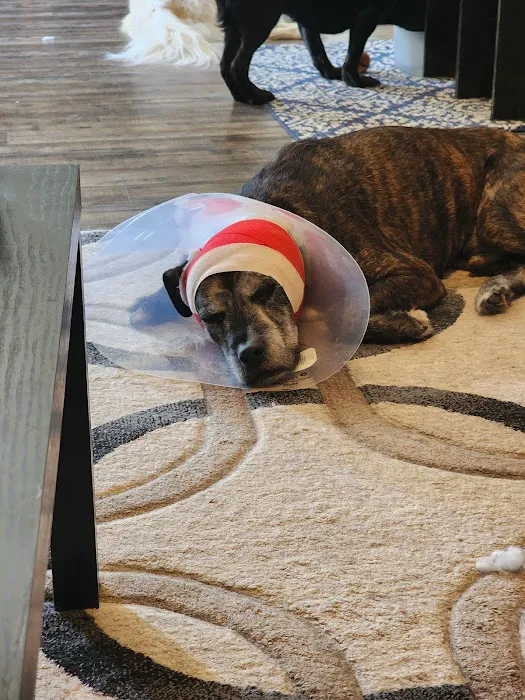 Banfield Pet Hospital 12