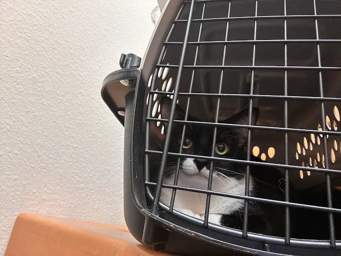 Banfield Pet Hospital 12