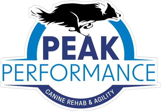 Peak Performance Canine Rehabilitation and Agility 12