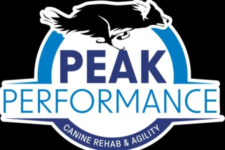 Peak Performance Canine Rehabilitation and Agility