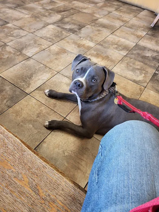 White Clay Creek Veterinary Hospital 12