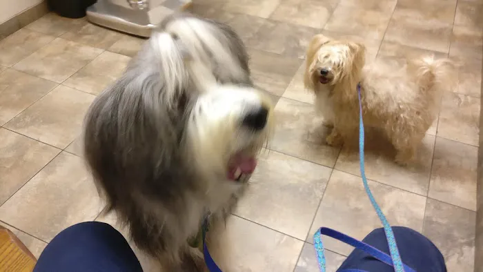 White Clay Creek Veterinary Hospital 12