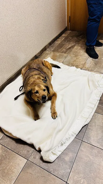White Clay Creek Veterinary Hospital 12