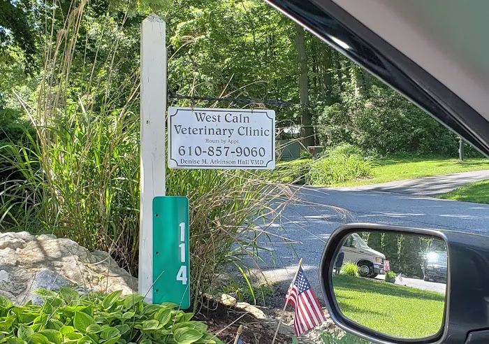West Caln Veterinary Clinic & Mobile Veterinary Service 7