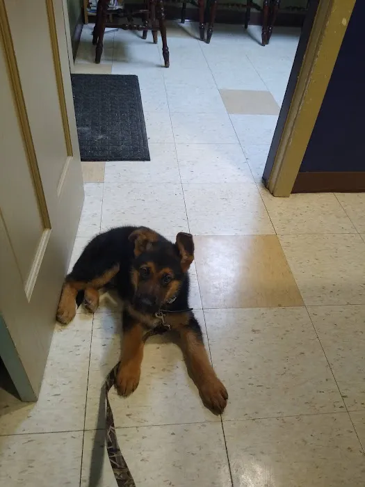 West Caln Veterinary Clinic & Mobile Veterinary Service 8