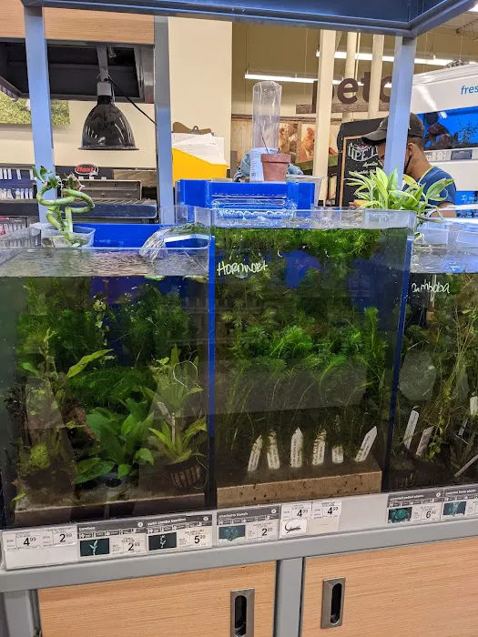 Petco 3