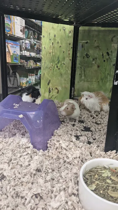 Petco 2