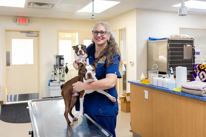 Honey Brook Animal Hospital 1