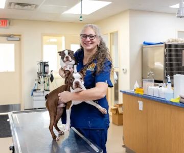 Honey Brook Animal Hospital