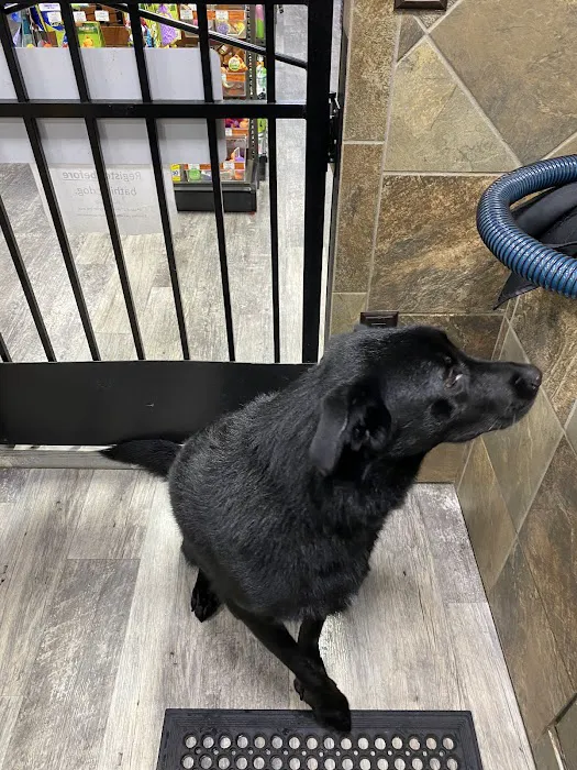 Pet Supermarket 9