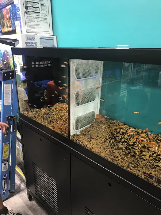 Pet Supermarket 7