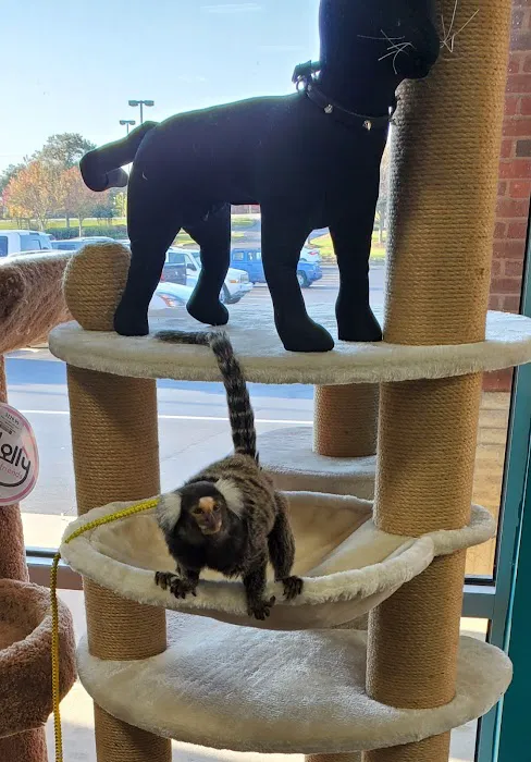Pet Supermarket 8