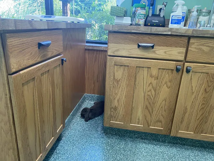 Noah's Glen Animal Hospital - Patricia Slanga, VMD 3