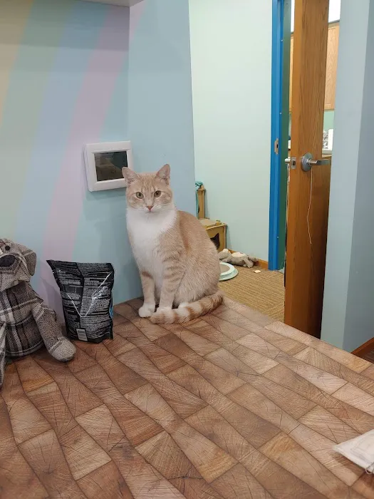 Noah's Glen Animal Hospital - Patricia Slanga, VMD 2