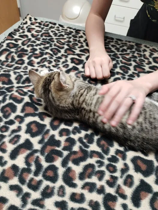 Country Companion Animal Hospital 12