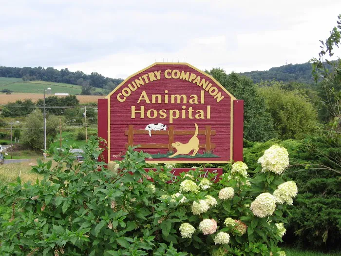 Country Companion Animal Hospital 12