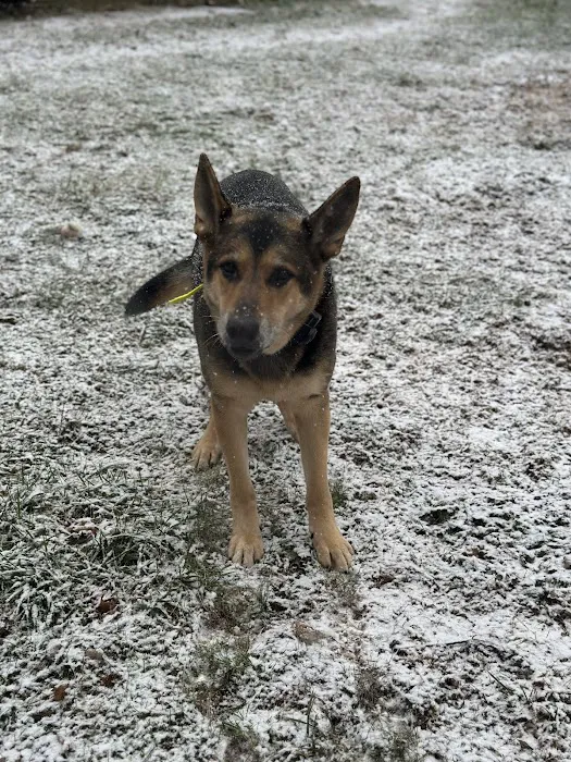 Country Companion Animal Hospital 12