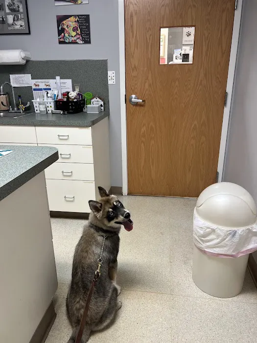 Country Companion Animal Hospital 12