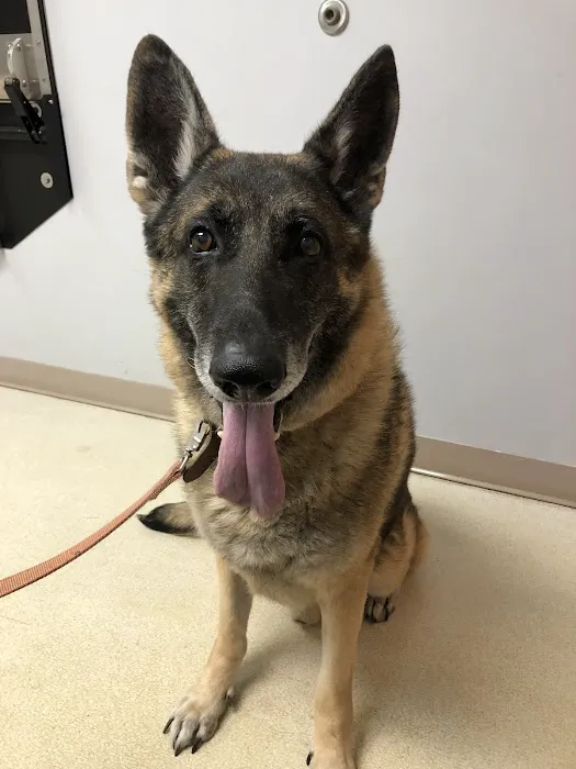 Country Companion Animal Hospital 12