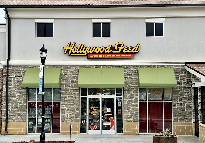 Hollywood Feed 12
