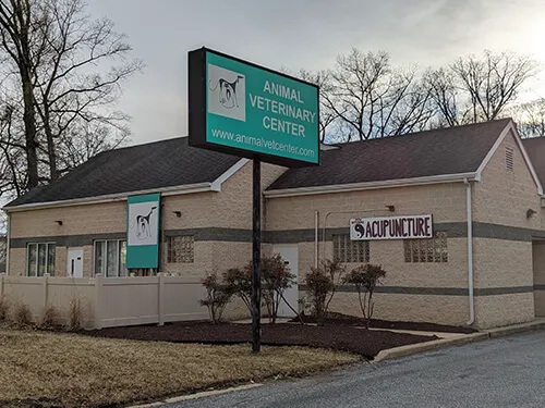 Animal Veterinary Center 12