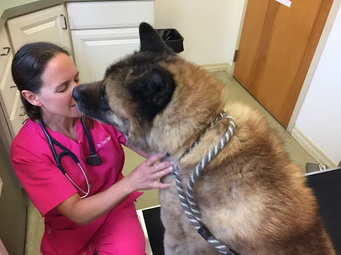 Animal Veterinary Center 12