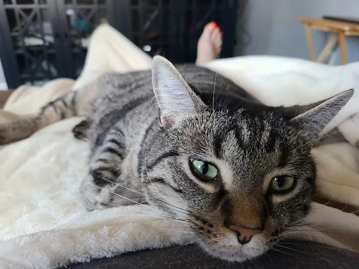 Animal Veterinary Center: Shultz, Teri DVM 12