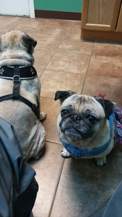 Animal Haven Veterinary Center 12