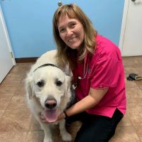 Animal Haven Veterinary Center ico