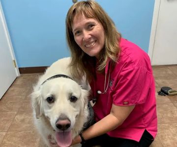Animal Haven Veterinary Center