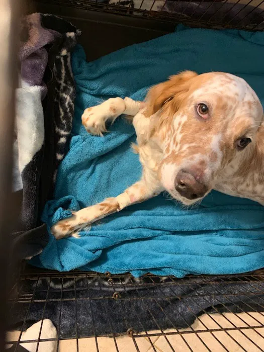 Animal Haven Veterinary Center 12