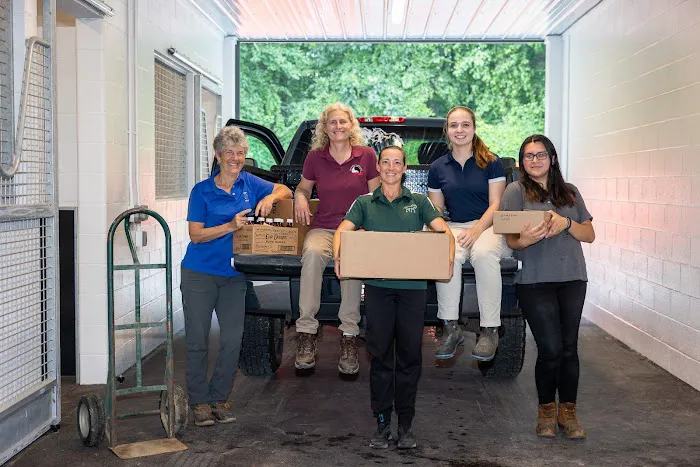 Equine Veterinary Care 12
