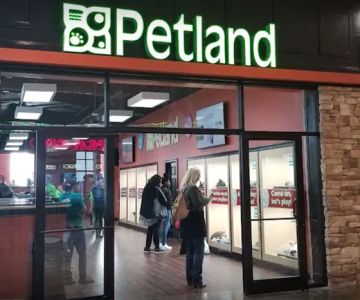 Petland Mall of Georgia