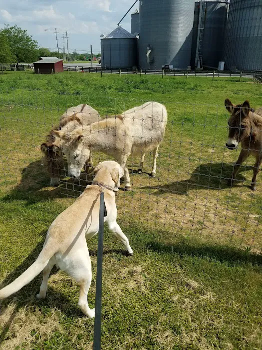 Stoneback Veterinary Associates 4