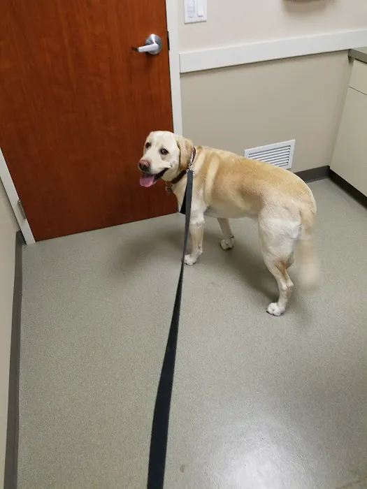 Stoneback Veterinary Associates 5