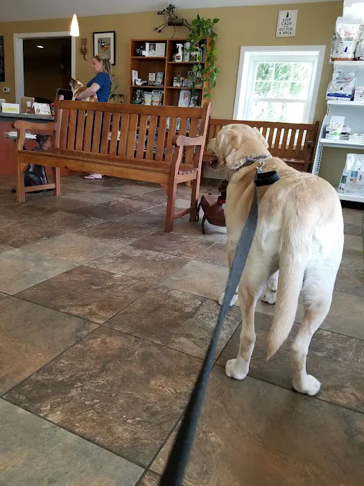 Stoneback Veterinary Associates 7