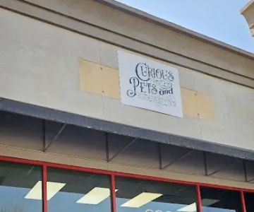 Curious Pets and Curiosities, Inc