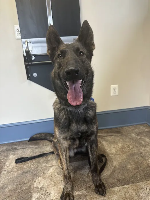 Elk Creek Veterinary Services, LLC 6