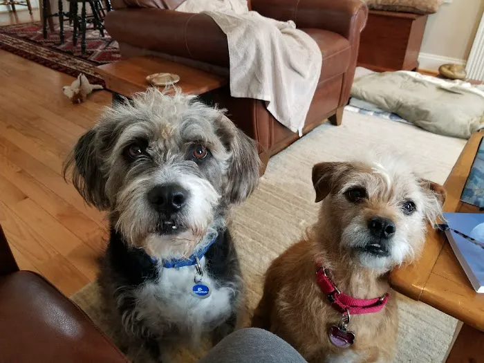 Elk Creek Veterinary Services, LLC 9