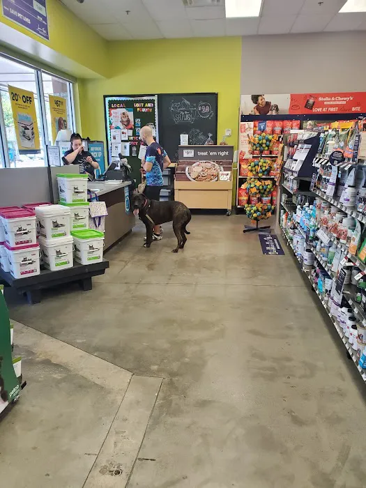 Petco 6