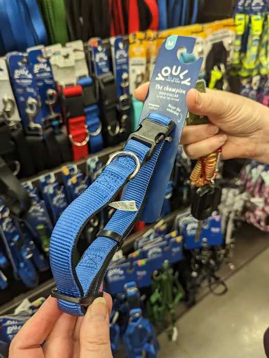 Petco 1