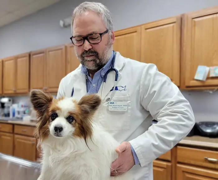 VCA Glasgow Animal Hospital 12