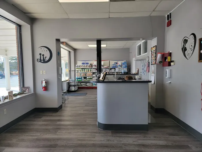 VCA Glasgow Animal Hospital 12