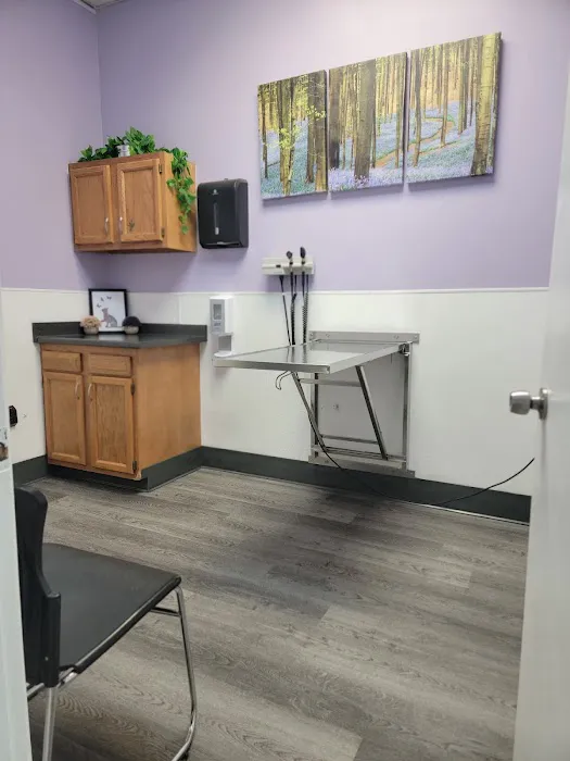 VCA Glasgow Animal Hospital 12