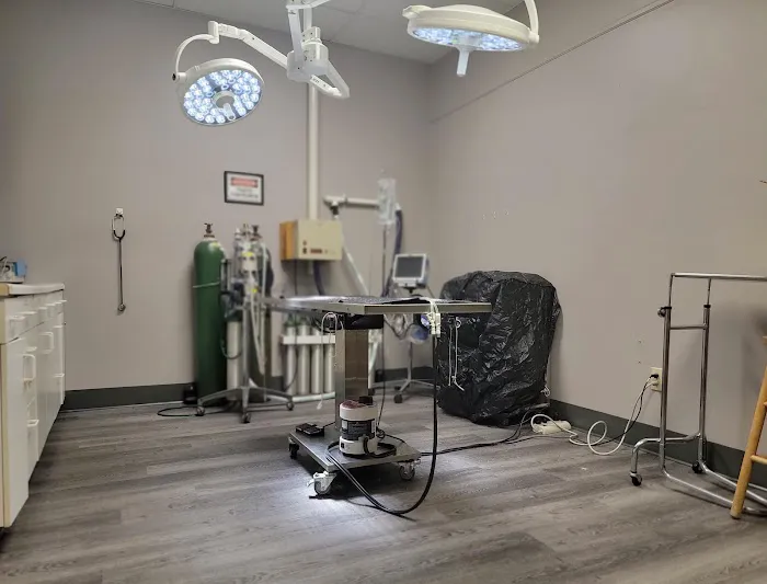 VCA Glasgow Animal Hospital 12