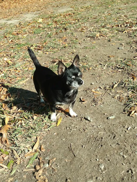 Lums Pond Animal Hospital 12