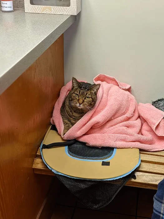 Lums Pond Animal Hospital 12
