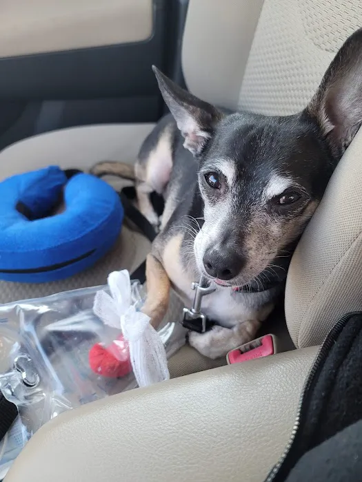 Lums Pond Animal Hospital 12